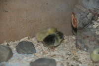 DSC_0076.JPG