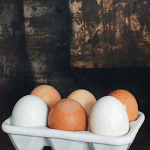 Ceramic Egg Holder