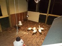 20181011_212201.jpg