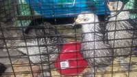 20180517_194013.jpg