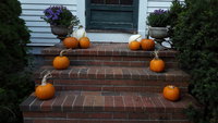 20181006_164235.jpg