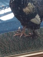 20181012_100733.jpg