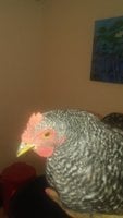 20181012_111510.jpg