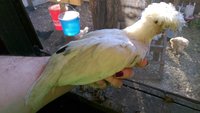 IMAG0157.jpg