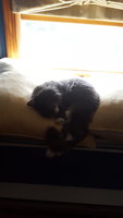 20181012_141828.jpg