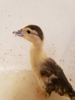 20181013_182053.jpg