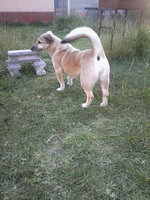 IMG_20181013_182358.jpg