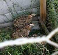 IMG_20181013_182106 (2).jpg