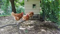 20180815_103516.jpg 20180815_103516.jpg