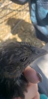 20181014_135401.jpg