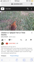 8BD674A5-D9E7-46D1-8D15-9769D4B15369.png