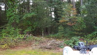 20181014_170151.jpg