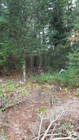 20181014_170201.jpg