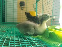 20181015_113502.jpg