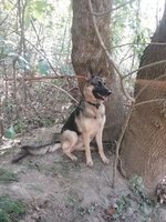 20181015_150632.jpg