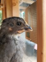 20181015_164135.jpg