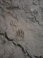 20181015_145340.jpg