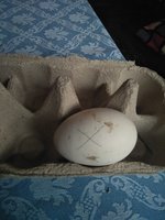 IMG20181016172955.jpg