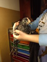 IMG_20181017_182702686.jpg