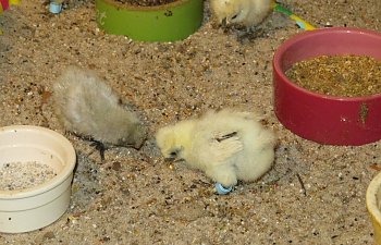 IMG_0180.JPG IMG_0180.JPG