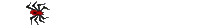 spinne_0002.gif