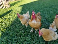 thumbnail (8).jpg thumbnail (8).jpg