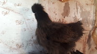 20181019_162147.jpg