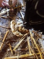 20181020_114524.jpg