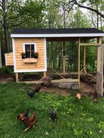 Chicken Coop.jpg