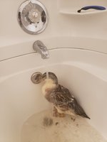 20181021_151350.jpg