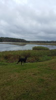 20181011_124447.jpg