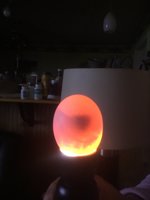 845EF5C2-C202-483C-B121-E9D0B5F42CA3.jpeg