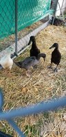 20181019_084814.jpg