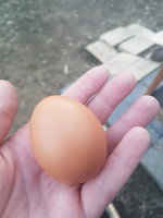 20181023_175015.jpg
