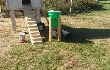 outside view of coop with electric fence in background.jpg