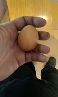 received_250194142515143.jpeg