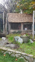 20181008_162441.jpg