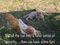 4BA76613-7382-4E04-9645-840A31EFA359.jpeg