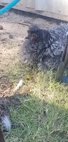 20181026_142610.jpg