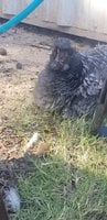 20181026_142616.jpg