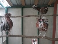 20181005_130046.jpg