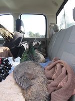 IMG_1132.jpg
