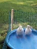 20180626_191301.jpg