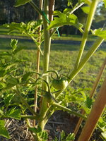 20181027_165817.jpg