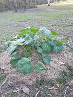 20181027_170138.jpg