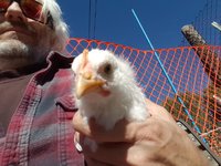 20181027_135506.jpg 20181027_135506.jpg