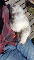 20181027_135532_001.jpg 20181027_135532_001.jpg