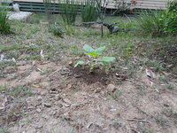 20181028_072334.jpg