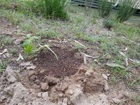 20181028_072342.jpg