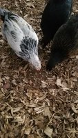 20181028_190343.jpg